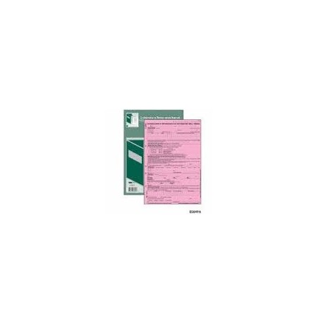 E5849A Modello rosa 25x4 autoricalcante f.to 22,5x29,7