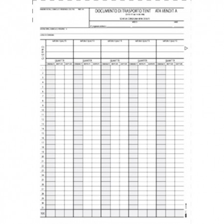 E0186 Schede documento di trasporto tentata vendita